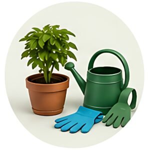 Garden & Outdoor