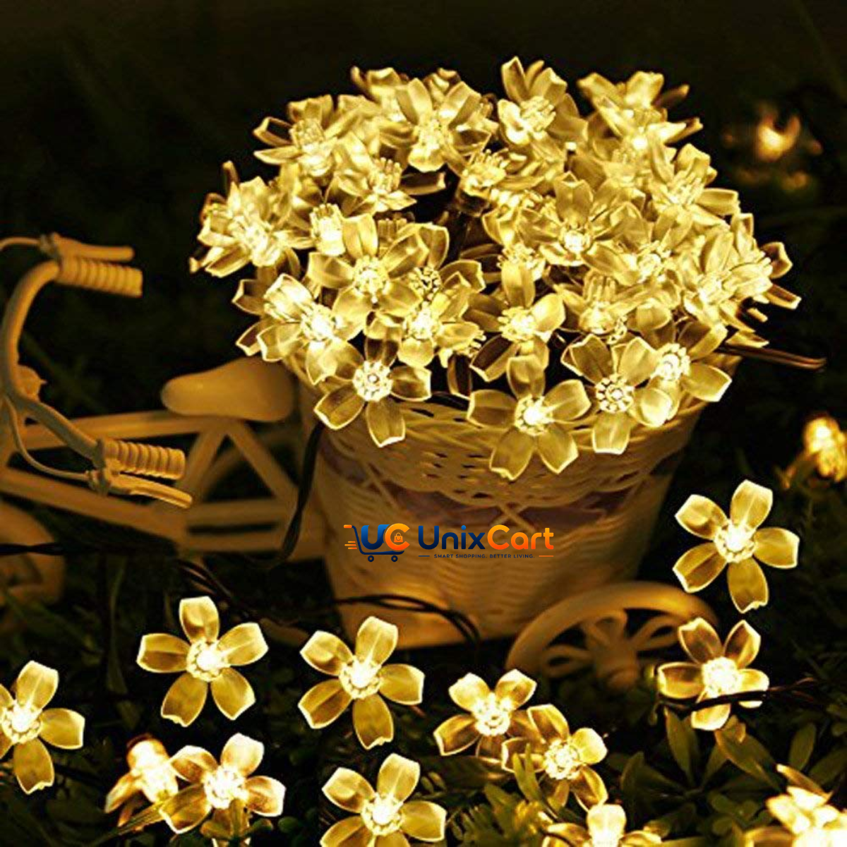 Lights wrapped around a potted plant
